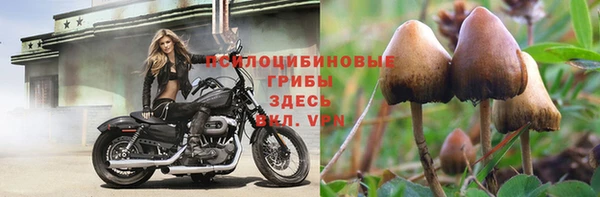 бошки Балабаново