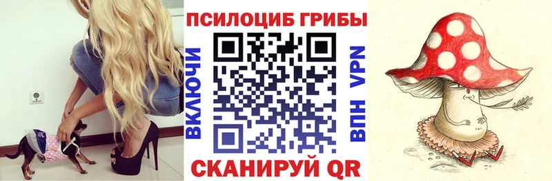 мега ONION  Комсомольск  Псилоцибиновые грибы Psilocybe 
