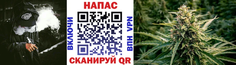 Бошки Шишки планчик где найти наркотики Комсомольск